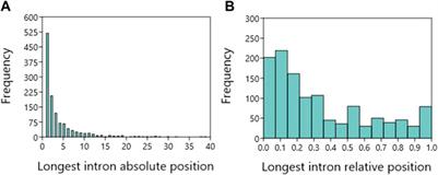 The position of the longest intron is related to biological functions in some human genes